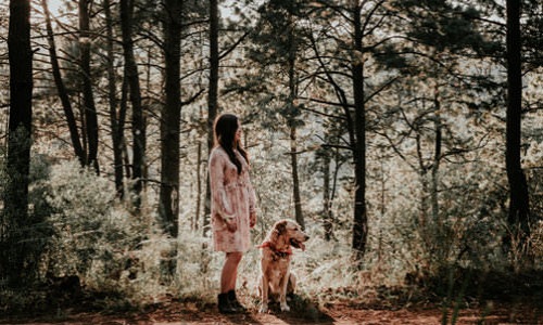 woman with her dog on a forest trail